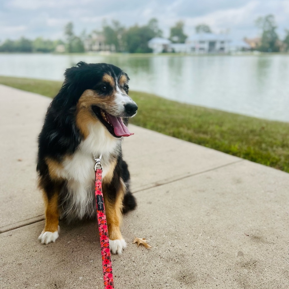 Meet your Posher, Kim